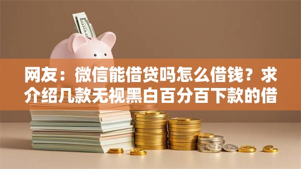 网友：微信能借贷吗怎么借钱？求介绍几款无视黑白百分百下款的借款平台