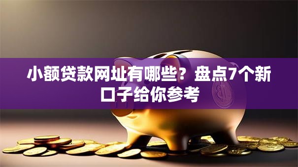 小额贷款网址有哪些？盘点7个新口子给你参考