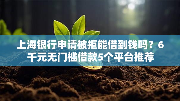 上海银行申请被拒能借到钱吗？6千元无门槛借款5个平台推荐