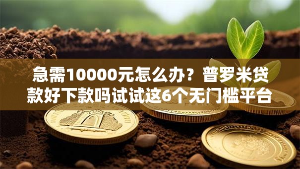 急需10000元怎么办？普罗米贷款好下款吗试试这6个无门槛平台
