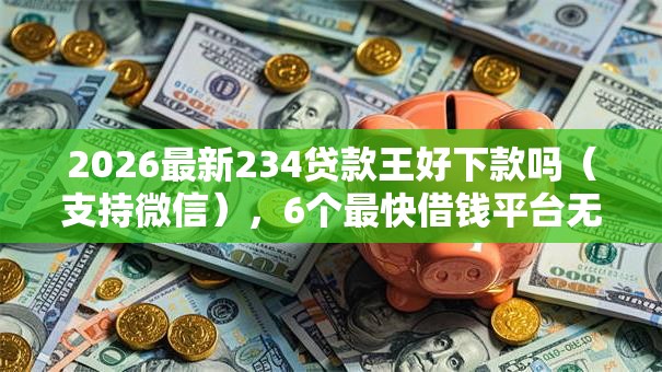 2026最新234贷款王好下款吗（支持微信），6个最快借钱平台无私分享