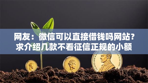 网友:微信可以直接借钱吗网站?求介绍几款不看征信正规的小额贷款平台 网友:微信可以直接借钱吗网站?求介绍几款不看征信正规的小额贷款平台