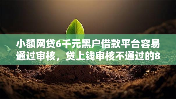 小额网贷6千元黑户借款平台容易通过审核，贷上钱审核不通过的8个平台介绍