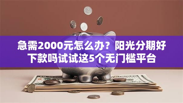 急需2000元怎么办？阳光分期好下款吗试试这5个无门槛平台
