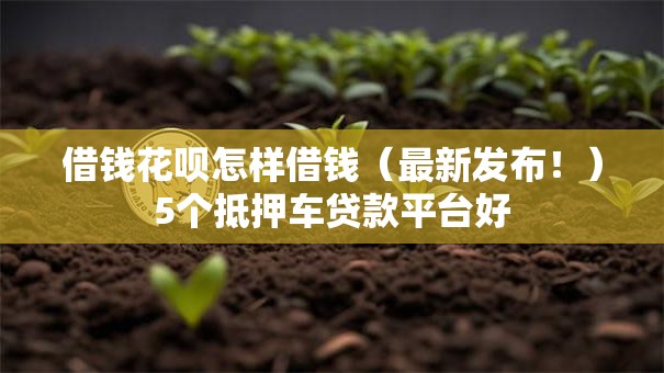 借钱花呗怎样借钱（最新发布！）5个抵押车贷款平台好