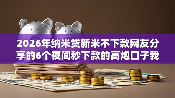 2026年纳米贷新米不下款网友分享的6个夜间秒下款的高炮口子我觉得不错！