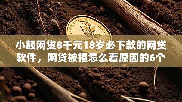 小额网贷8千元18岁必下款的网贷软件,网贷被拒怎么看原因的6个平台介绍 小额网贷8千元18岁必下款的网贷软件,网贷被拒怎么看原因的6个平台介绍