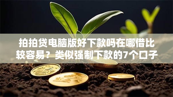 拍拍贷电脑版好下款吗在哪借比较容易？类似强制下款的7个口子参考