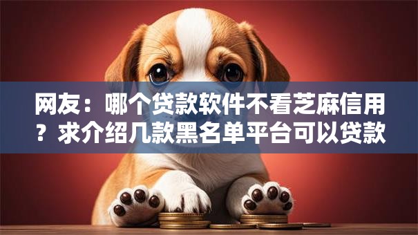 网友：哪个贷款软件不看芝麻信用？求介绍几款黑名单平台可以贷款