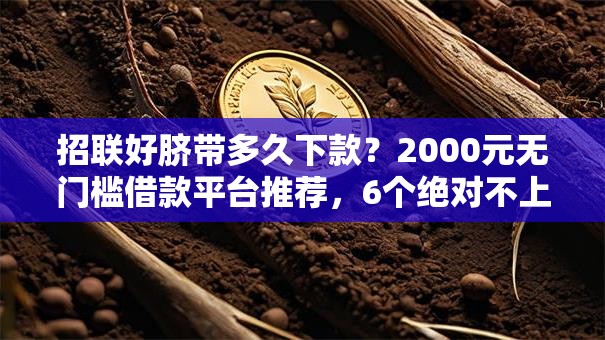 招联好脐带多久下款?2000元无门槛借款平台推荐,6个绝对不上征信的贷款平台盘点 招联好脐带多久下款?2000元无门槛借款平台推荐,6个绝对不上征信的贷款平台盘点
