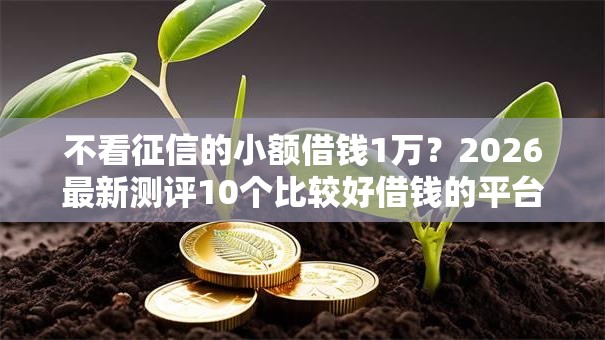 不看征信的小额借钱1万？2026最新测评10个比较好借钱的平台