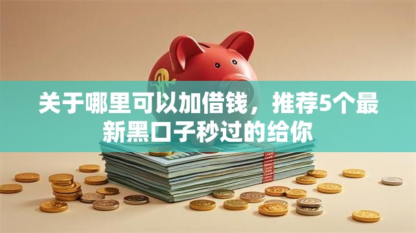 关于哪里可以加借钱，推荐5个最新黑口子秒过的给你