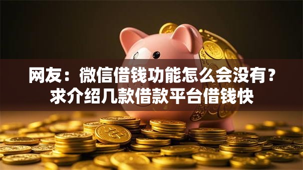 网友：微信借钱功能怎么会没有？求介绍几款借款平台借钱快