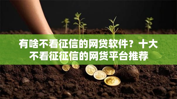 有啥不看征信的网贷软件？十大不看征征信的网货平台推荐