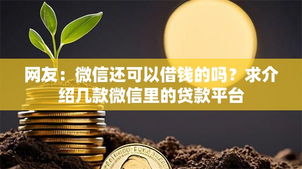 网友:微信还可以借钱的吗?求介绍几款微信里的贷款平台 网友:微信还可以借钱的吗?求介绍几款微信里的贷款平台