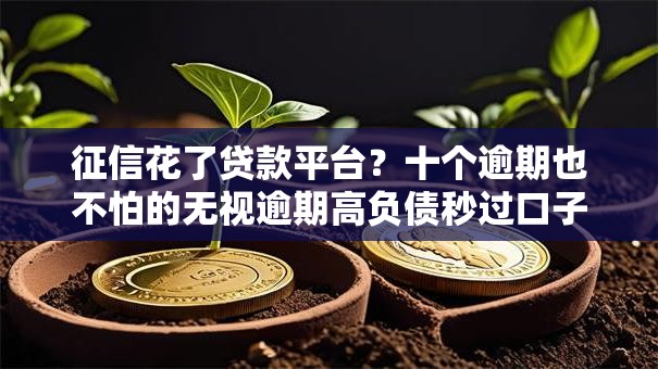 征信花了贷款平台？十个逾期也不怕的无视逾期高负债秒过口子