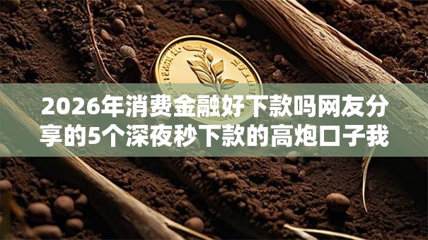 2026年消费金融好下款吗网友分享的5个深夜秒下款的高炮口子我觉得不错! 2026年消费金融好下款吗网友分享的5个深夜秒下款的高炮口子我觉得不错!