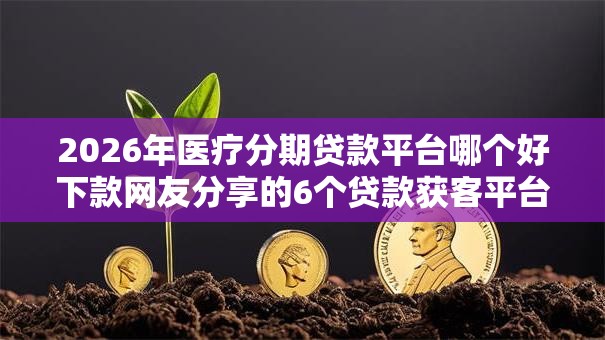 2026年医疗分期贷款平台哪个好下款网友分享的6个贷款获客平台我觉得不错！