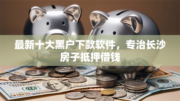 最新十大黑户下款软件，专治长沙房子抵押借钱