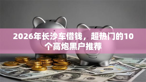 2026年长沙车借钱，超热门的10个高炮黑户推荐
