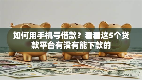 如何用手机号借款？看看这5个贷款平台有没有能下款的