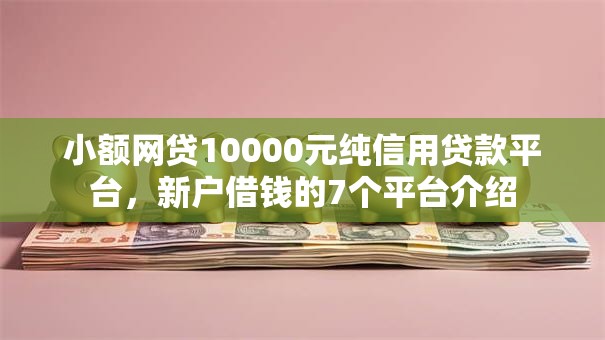 小额网贷10000元纯信用贷款平台，新户借钱的7个平台介绍
