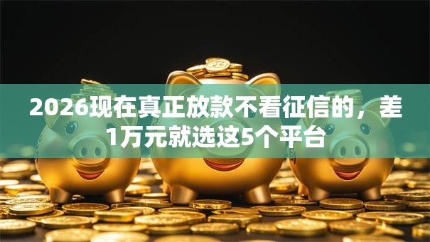 2026现在真正放款不看征信的，差1万元就选这5个平台