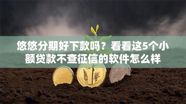 悠悠分期好下款吗？看看这5个小额贷款不查征信的软件怎么样