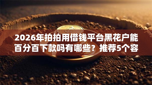 2026年拍拍用借钱平台黑花户能百分百下款吗有哪些?推荐5个容易下款的平台 2026年拍拍用借钱平台黑花户能百分百下款吗有哪些?推荐5个容易下款的平台