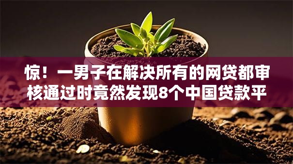 惊！一男子在解决所有的网贷都审核通过时竟然发现8个中国贷款平台，事后分享了出来