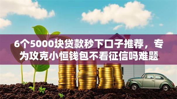 6个5000块贷款秒下口子推荐，专为攻克小恒钱包不看征信吗难题