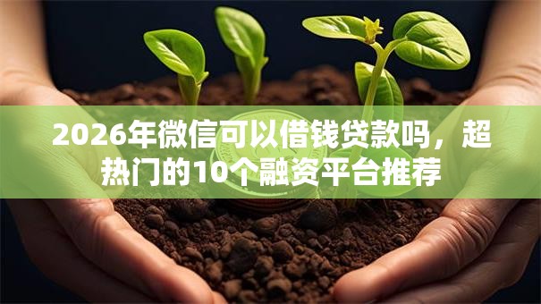 2026年微信可以借钱贷款吗，超热门的10个融资平台推荐