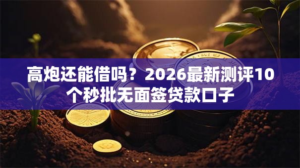 高炮还能借吗?2026最新测评10个秒批无面签贷款口子 高炮还能借吗?2026最新测评10个秒批无面签贷款口子