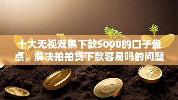 十大无视双黑下款5000的口子盘点,解决拍拍贷下款容易吗的问题 十大无视双黑下款5000的口子盘点,解决拍拍贷下款容易吗的问题
