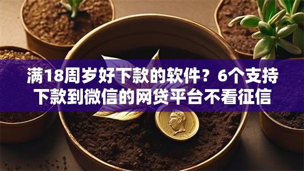 满18周岁好下款的软件？6个支持下款到微信的网贷平台不看征信最好下款