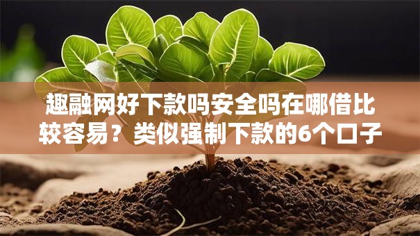 趣融网好下款吗安全吗在哪借比较容易？类似强制下款的6个口子参考