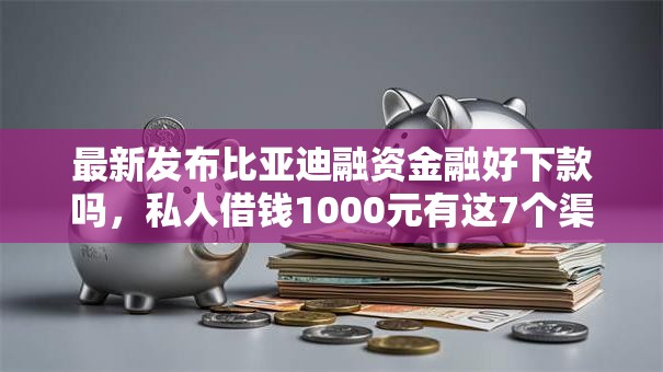 最新发布比亚迪融资金融好下款吗，私人借钱1000元有这7个渠道