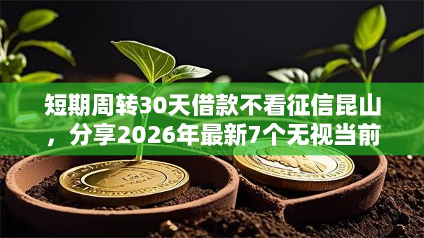 短期周转30天借款不看征信昆山，分享2026年最新7个无视当前逾期无视征信的借款口子