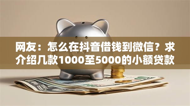 网友：怎么在抖音借钱到微信？求介绍几款1000至5000的小额贷款口子