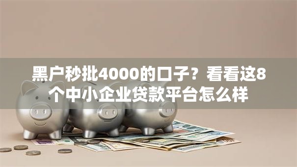 黑户秒批4000的口子？看看这8个中小企业贷款平台怎么样