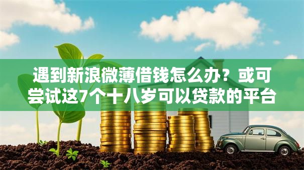 遇到新浪微薄借钱怎么办?或可尝试这7个十八岁可以贷款的平台 遇到新浪微薄借钱怎么办?或可尝试这7个十八岁可以贷款的平台