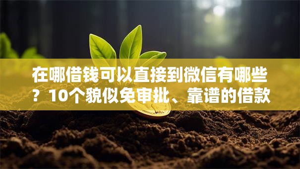 在哪借钱可以直接到微信有哪些？10个貌似免审批、靠谱的借款口子合集