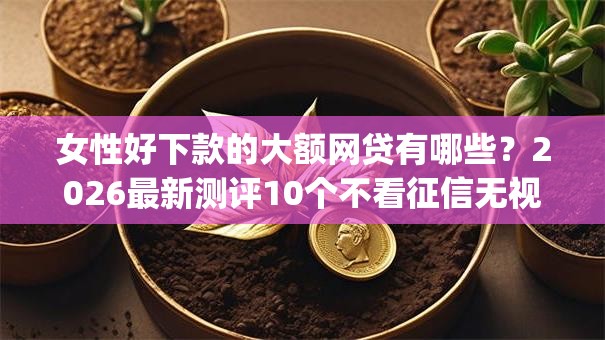 女性好下款的大额网贷有哪些？2026最新测评10个不看征信无视黑白百分百下款网贷app