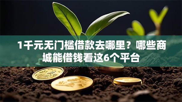 1千元无门槛借款去哪里？哪些商城能借钱看这6个平台