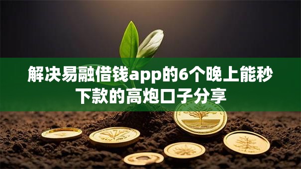 解决易融借钱app的6个晚上能秒下款的高炮口子分享