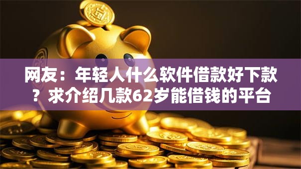 网友：年轻人什么软件借款好下款？求介绍几款62岁能借钱的平台