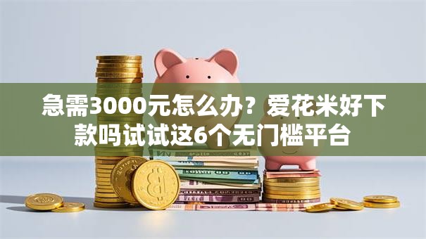 急需3000元怎么办？爱花米好下款吗试试这6个无门槛平台
