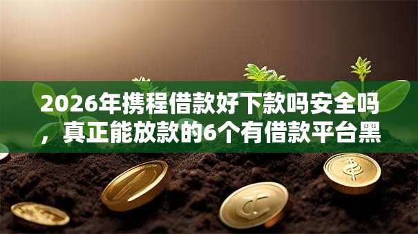 2026年携程借款好下款吗安全吗，真正能放款的6个有借款平台黑户也能借推荐