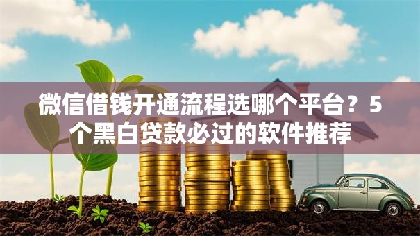 微信借钱开通流程选哪个平台？5个黑白贷款必过的软件推荐