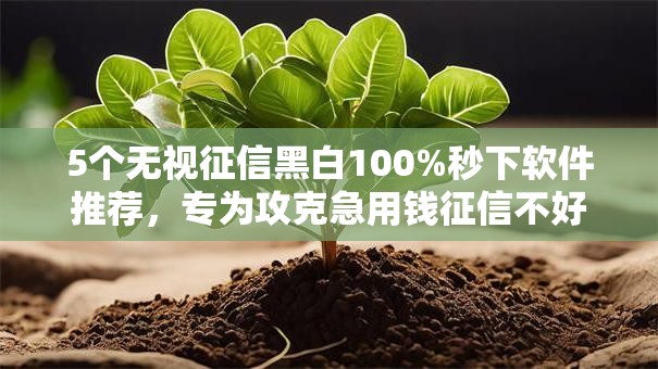 5个无视征信黑白100%秒下软件推荐，专为攻克急用钱征信不好哪里可以借难题